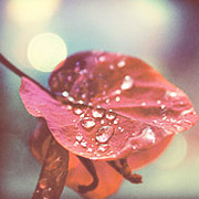 在线手机号接收